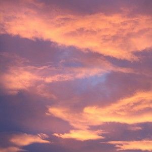 Meet your Posher, Jincy